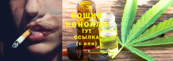 гидропоника Сатка