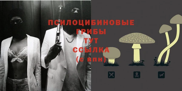 mdpv Алзамай